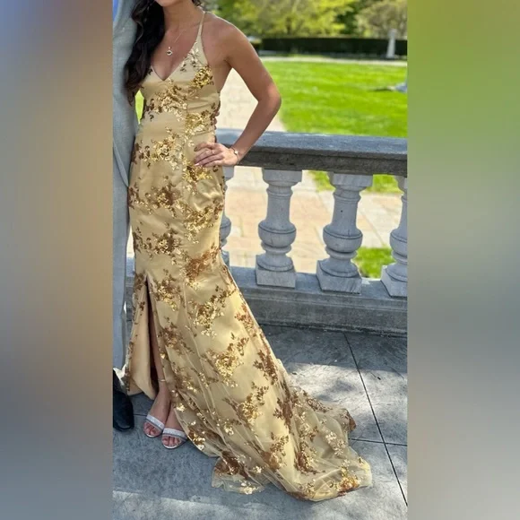 green emerald velvet dress Laurie Plunge Neckline Mermaid Gown Gold – Alamour The Label main image 0